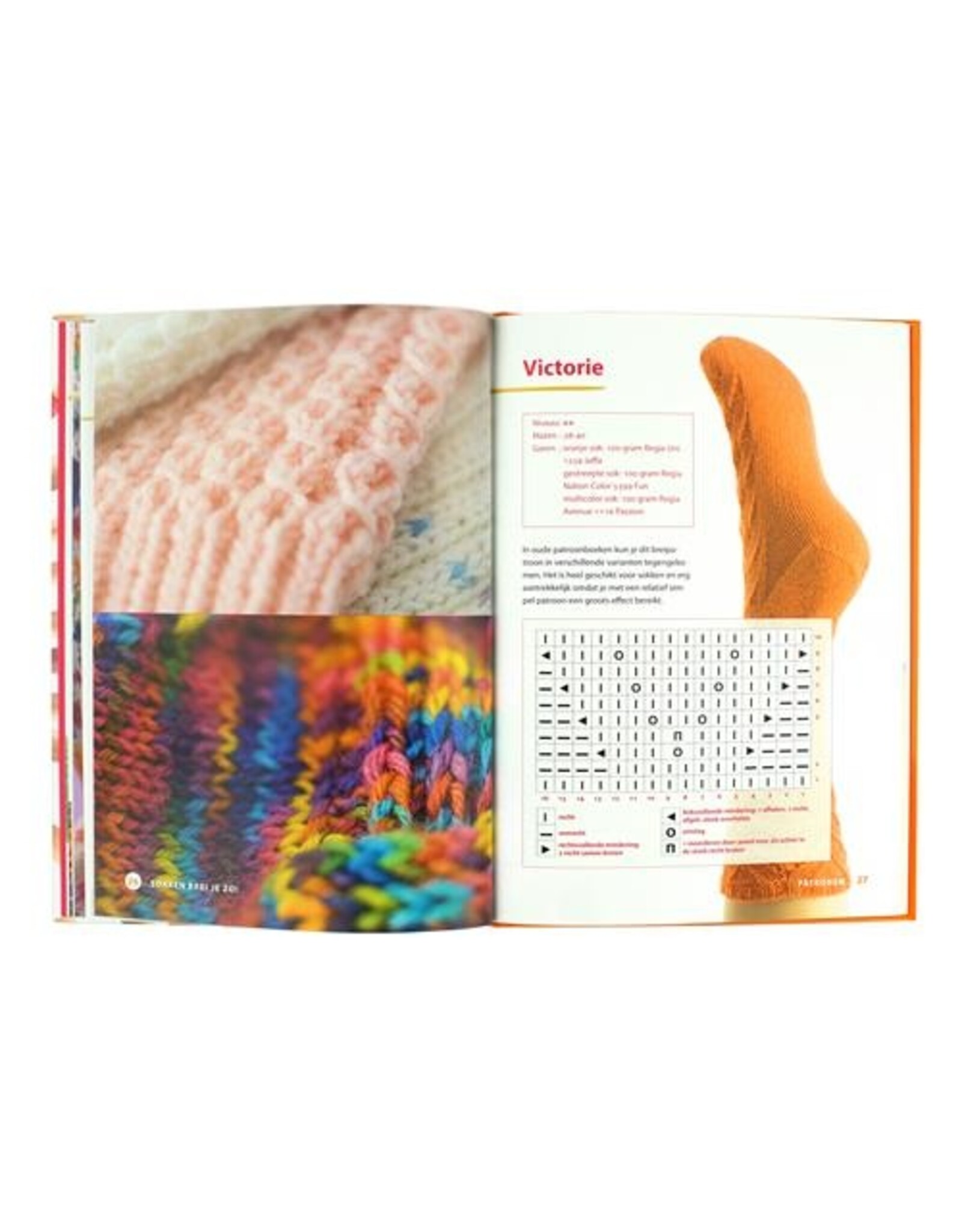 Diversen Forte Creatief - Sokken Breien - ISBN: 9789462501621