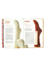 Diversen Forte Creatief - Sokken Breien - ISBN: 9789462501621