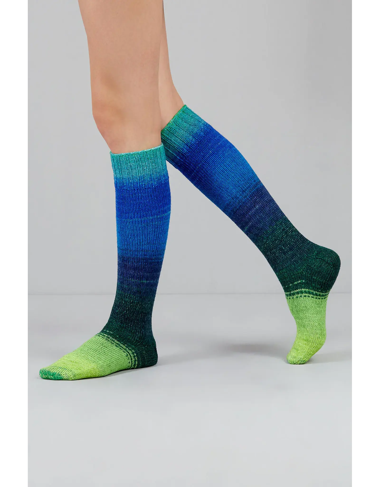 Gusto Wool Gusto Wool - Echoes Fingering - 1504