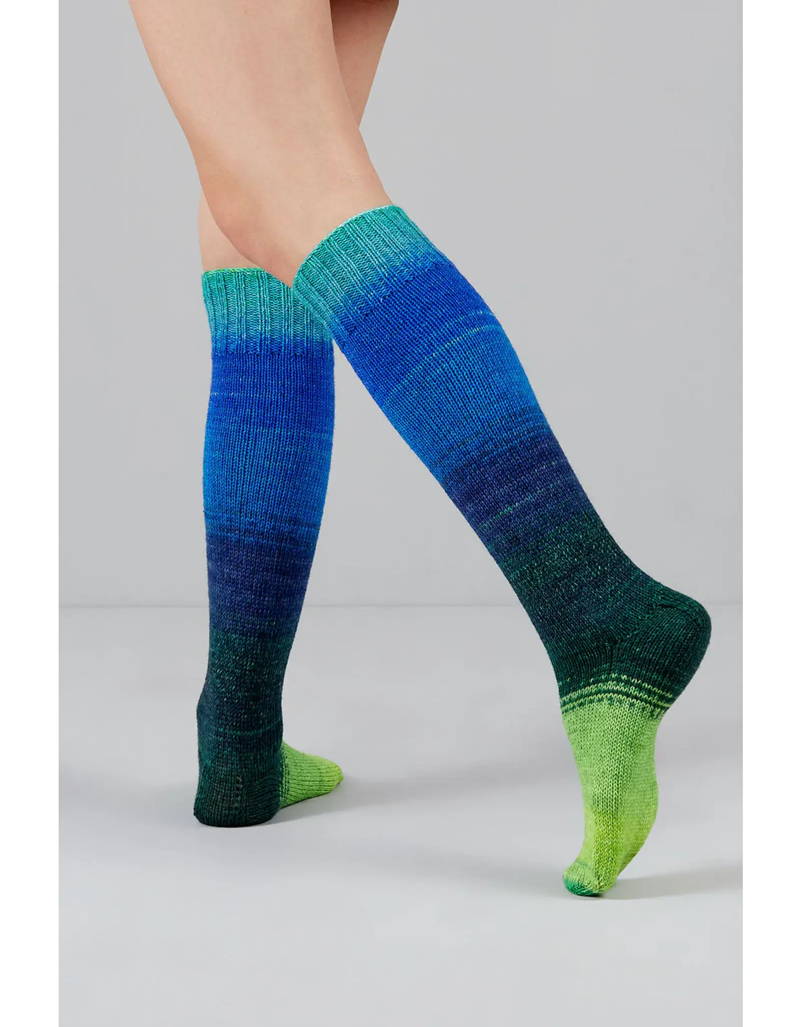 Gusto Wool Gusto Wool - Echoes Fingering - 1504
