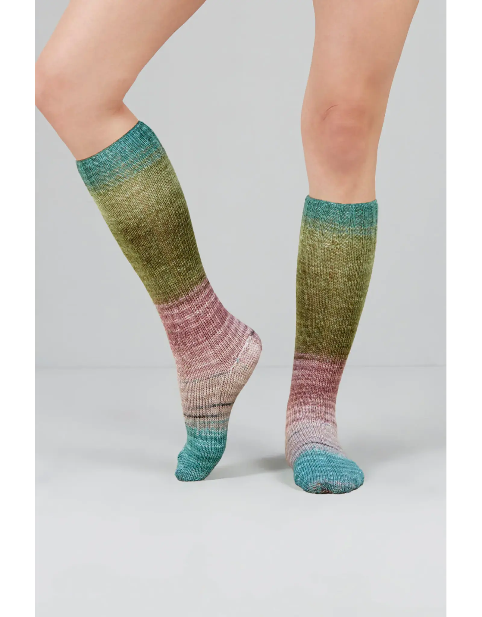 Gusto Wool - Echoes Fingering - 1528