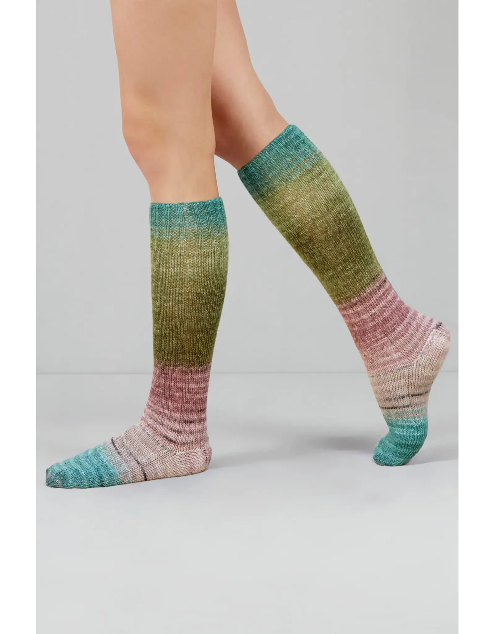 Gusto Wool - Echoes Fingering - 1528