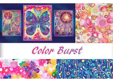 Noemi Ibarz - Color Burst