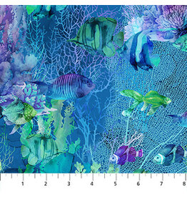 Northcott Coral Reef - Fish Navy