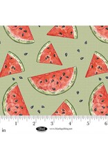 Blank Quilting Blank Quilting - Vintage Summer - Watermelon - B4639-60