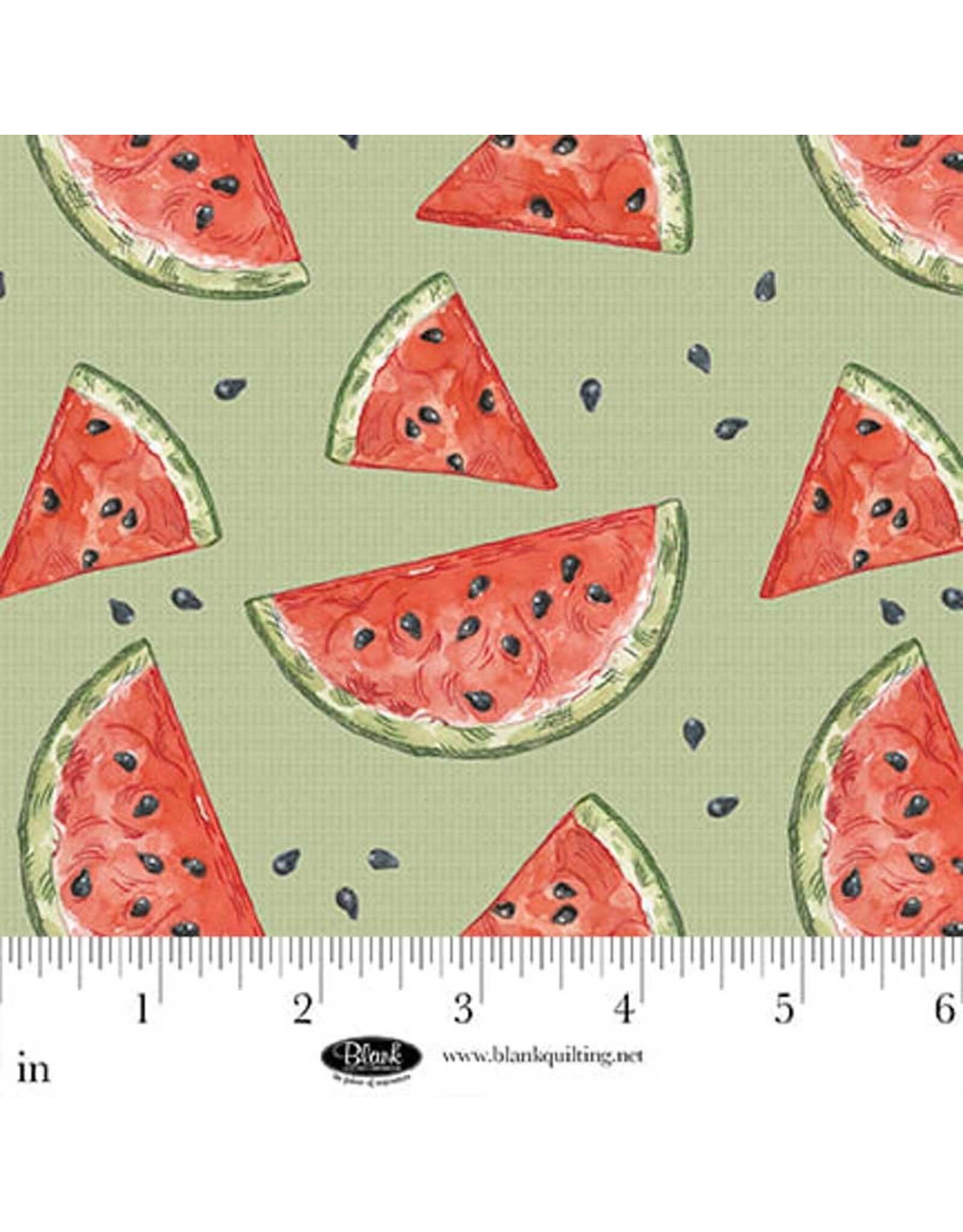 Blank Quilting Blank Quilting - Vintage Summer - Watermelon - B4639-60