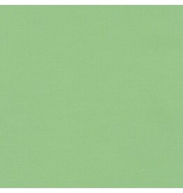 Robert Kaufman Kona Solids - 29 - Spring
