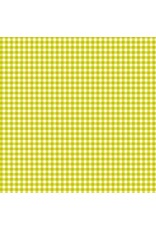 Andover KP Creates - Ghostly Garden - Bitty Gingham Green - A-10199-G