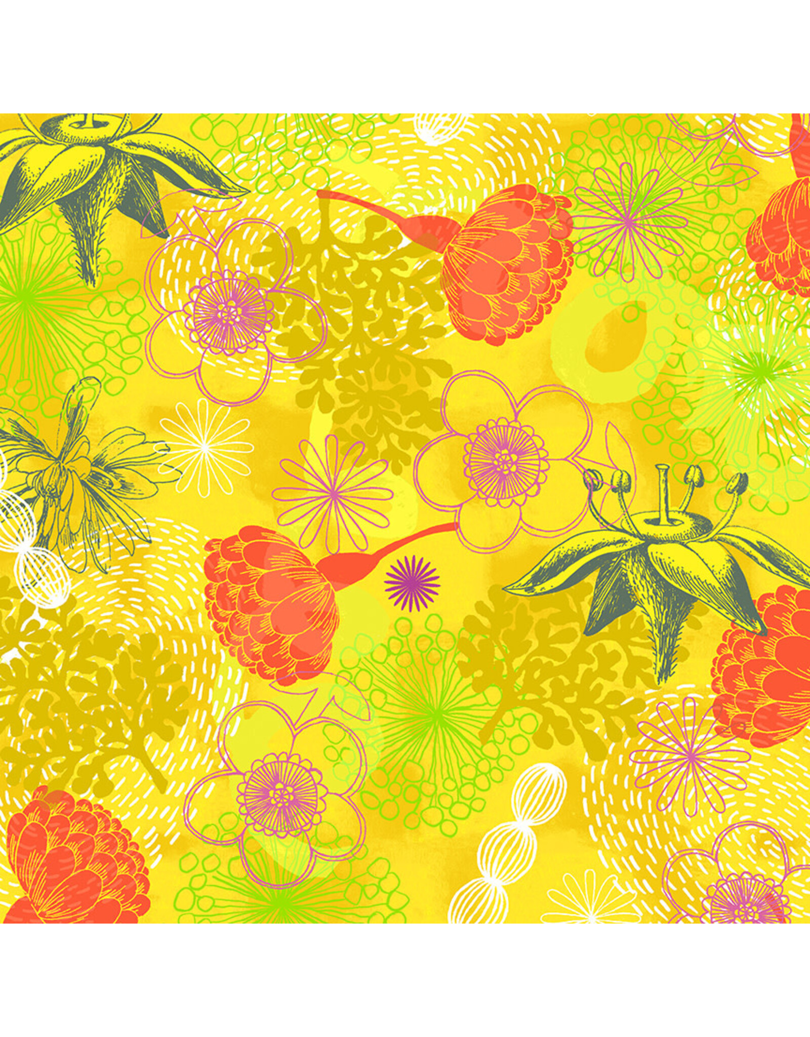 Windham Windham Fabrics - Bright World - Botanical Sun - 53488-5
