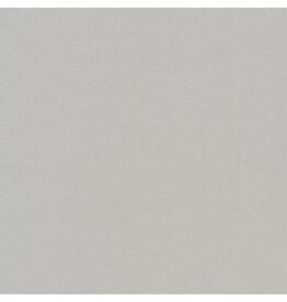 Robert Kaufman Kona Solids - 1007 - Ash coupon (± 74 x 110 cm)