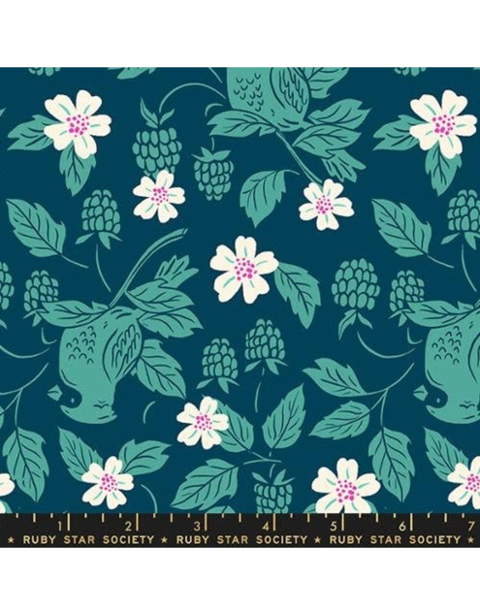 Ruby Star Society Backyard - Cardinal Galaxy coupon (± 36 x 110 cm)