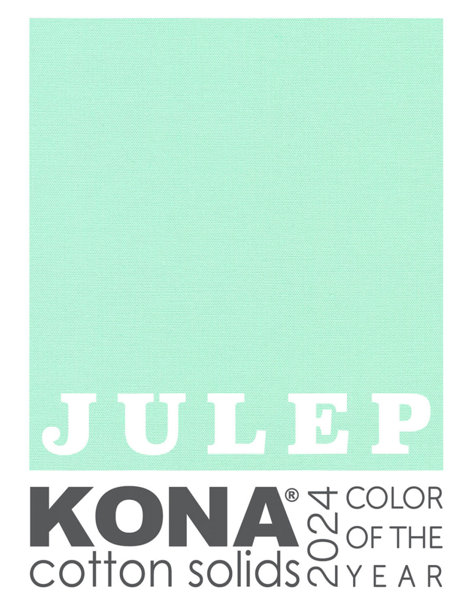 Robert Kaufman Kona Solids - Color of the Year 2024 - Julep coupon (± 62 x 110 cm)