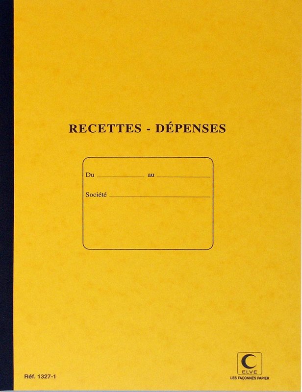 ELVE RECETTES DEPENSES 297X210 80 P  PIQURE (par 5)