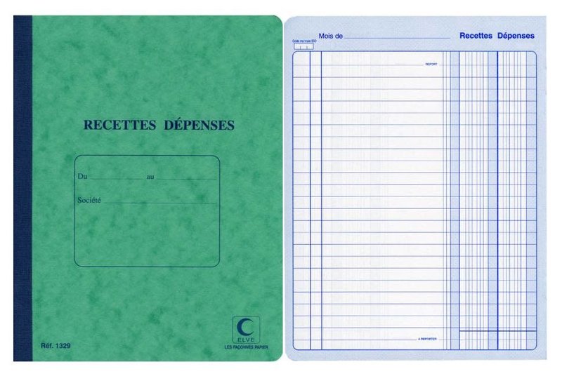 ELVE Cahier piqué Recettes - Dépenses, 220 x 170 mm