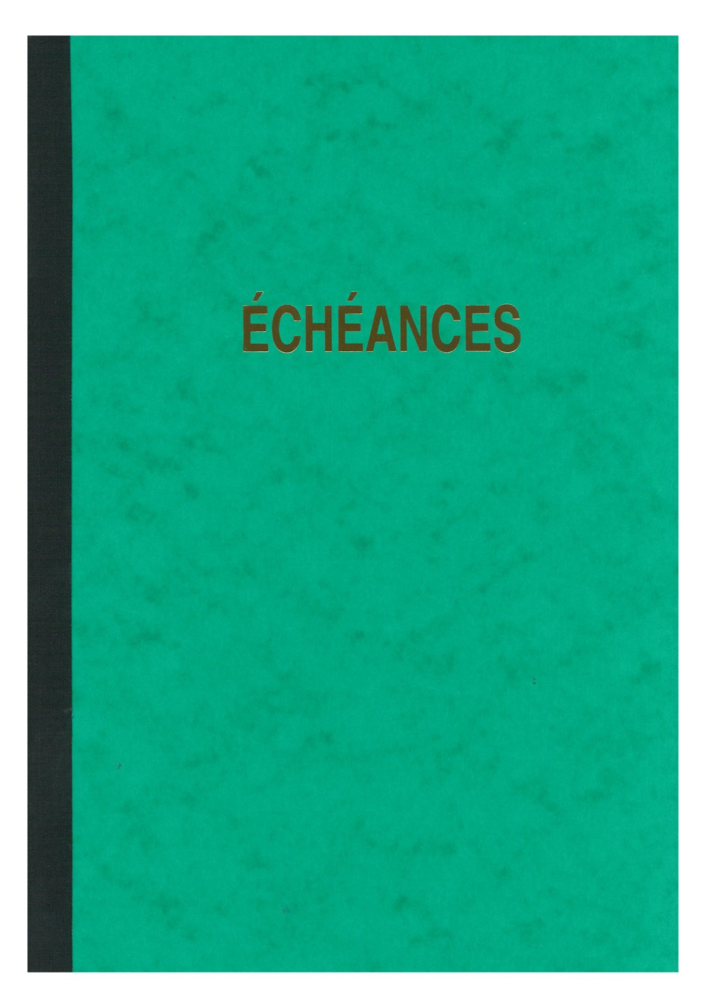 ELVE Piqure Echeancier 297X210 96 Pages