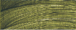 REMBRANDT Couleur à l'Huile Tube 40 ml Vert Olive 620
