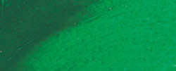 REMBRANDT Couleur à l'Huile Tube 40 ml Vert Permanent Foncé 619