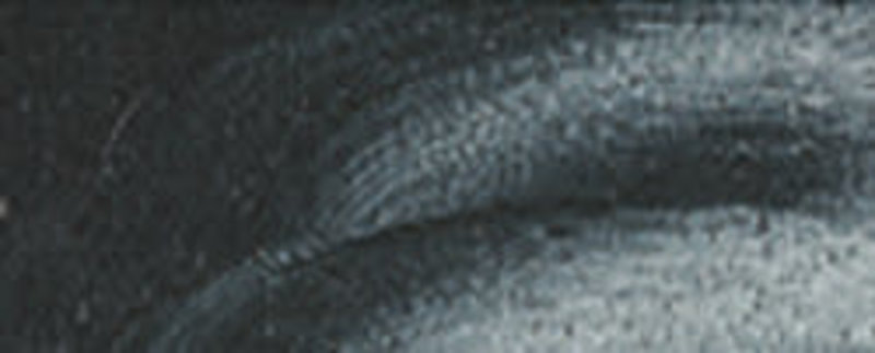 REMBRANDT Couleur à l'Huile Tube 40 ml Gris de Payne 708