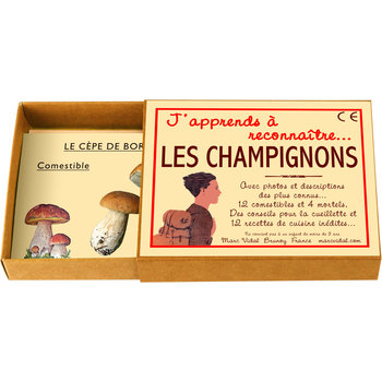 MARC VIDAL J'apprends à reconnaître les Champignons