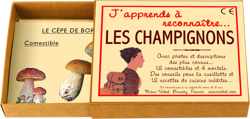 MARC VIDAL J'apprends à reconnaître les Champignons