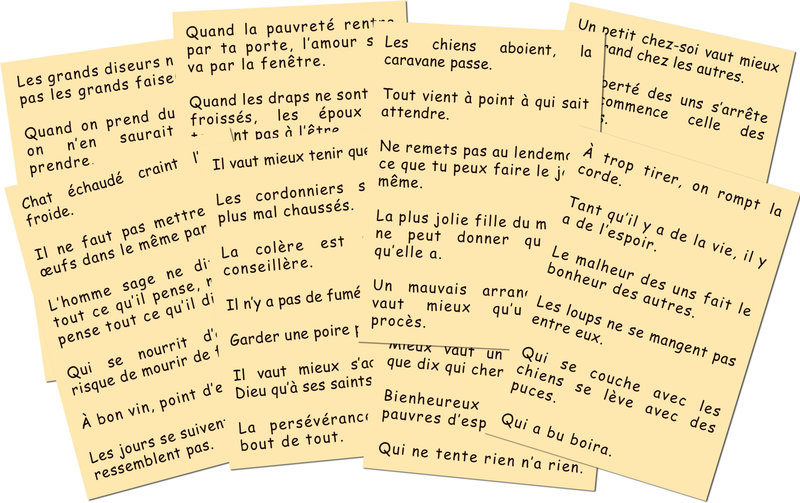 MARC VIDAL 200 Proverbes Français