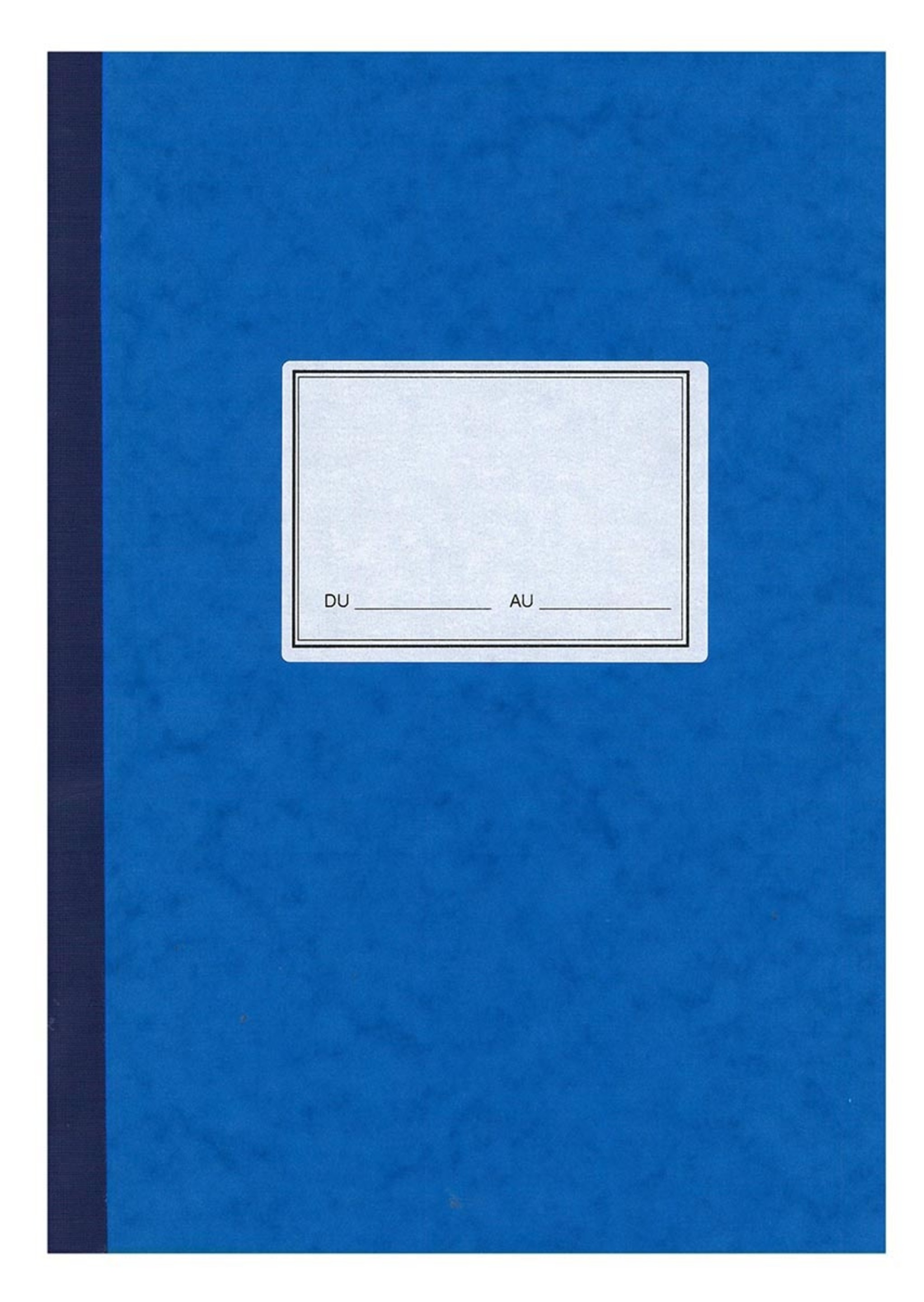 Carnet Comptable 20 Colonnes ELVE - Format 25 X 32 Cm, 80 Pages - Sur Deux Pages, Quadrillé - Comptabilité, Gestion