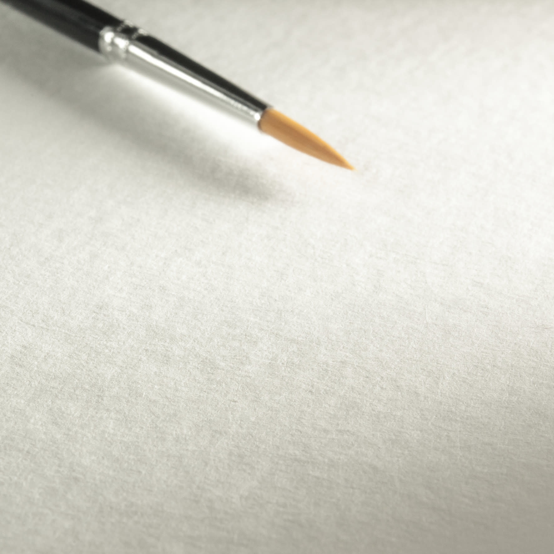 HAHNEMÜHLE Edition Anniversaire Aquarelle, grain fin  24x32cm, 425g/m², 15feuilles