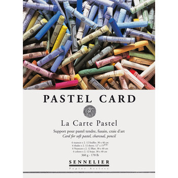 SENNELIER Bloc Pastel Pastel card 40x30cm 12 feuilles