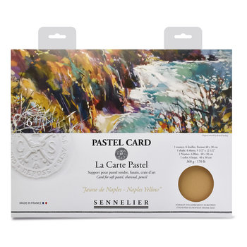 SENNELIER Pochette Pastel Card Jaune de Naples - 6 feuilles - 40x30cm