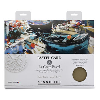 SENNELIER Pochette Pastel Card Gris Clair - 6 feuilles - 40x30cm