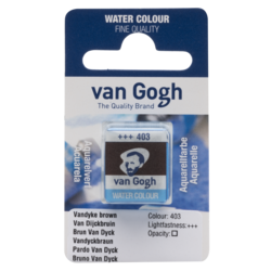 VAN GOGH Peinture aquarelle Godet Brun Van Dyck 403