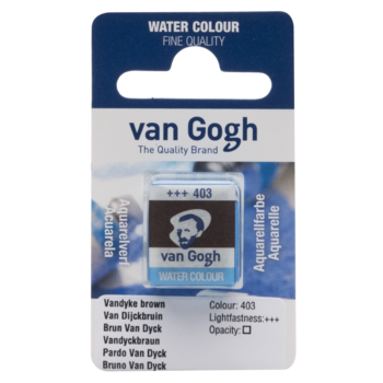 VAN GOGH Peinture aquarelle Godet Brun Van Dyck 403