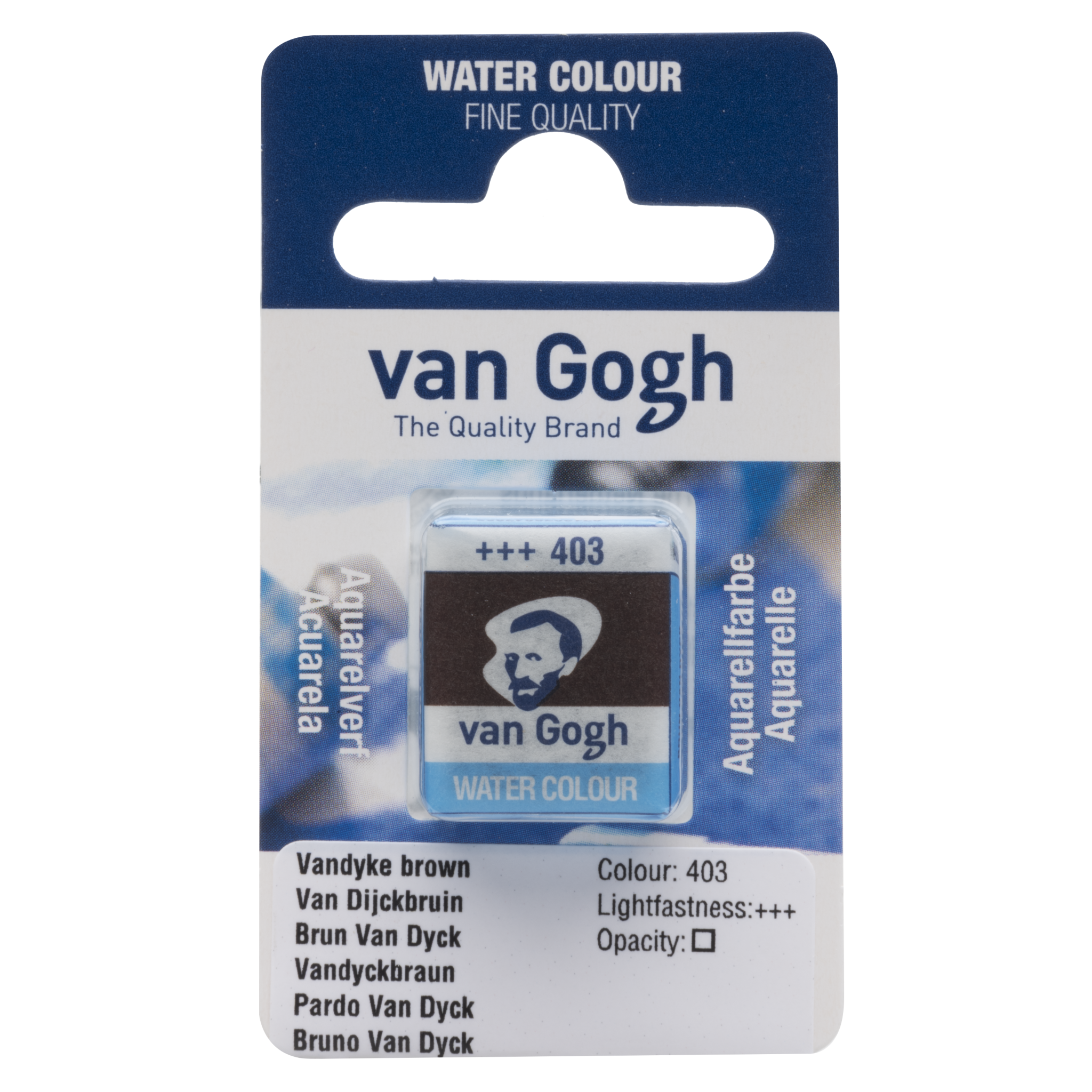 VAN GOGH Peinture aquarelle Godet Brun Van Dyck 403
