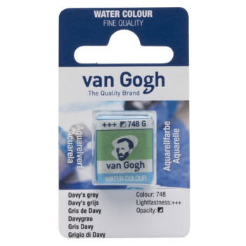 VAN GOGH Peinture aquarelle Godet Gris de Davy 748