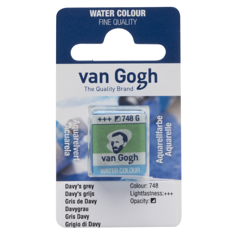 VAN GOGH Peinture aquarelle Godet Gris de Davy 748