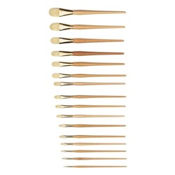 RAPHAEL Brosse Huile D'Artigny N°2 Plate usée bombée