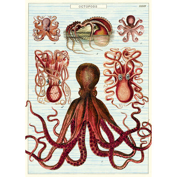 CAVALLINI & Co. Poster 50x70cm Vintage Octopus