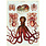 CAVALLINI & Co. Poster 50x70cm Vintage Octopus