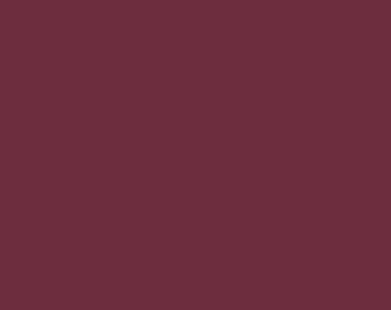 LEFRANC BOURGEOIS Huile fine 40ml Violet rouge