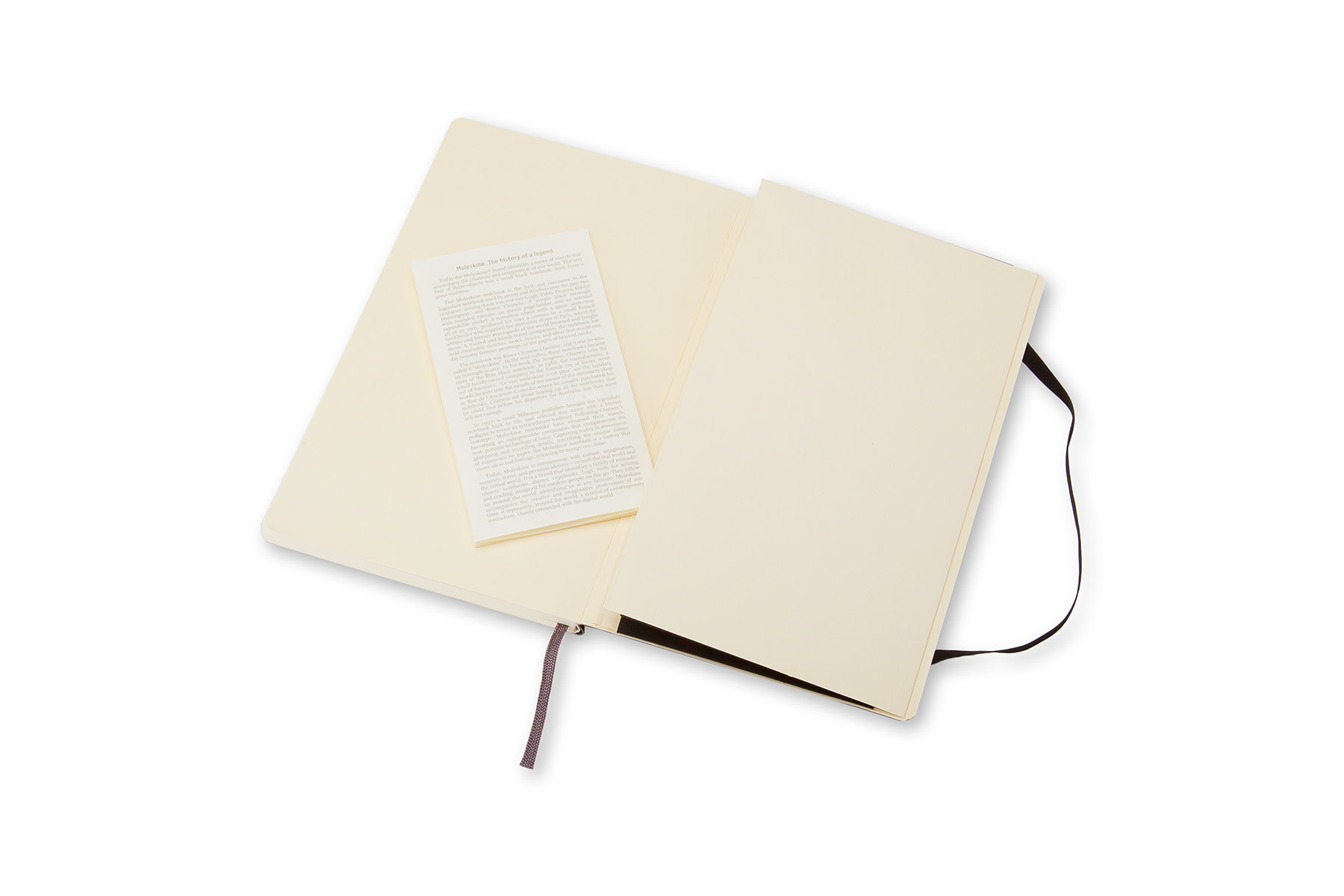 MOLESKINE Carnet Classique Grand Format À Pages Blanches Noir Couverture Souple