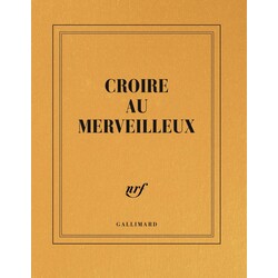 GALLIMARD Carnet carré couleur - Croire au merveilleux