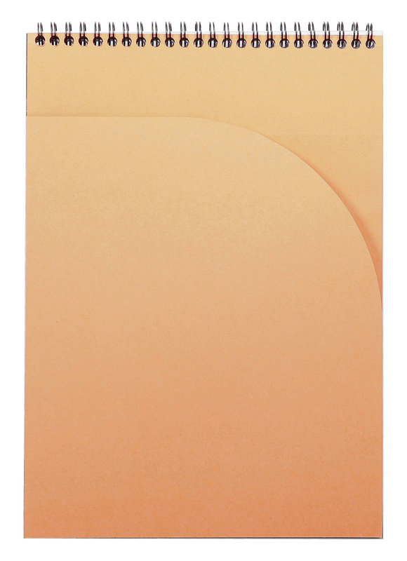 RHODIA Notepad Rhodiactive 90 G, Reliure Intégrale A4 160 Pages Petits Carreaux 5X5 Microperforé + Pochette