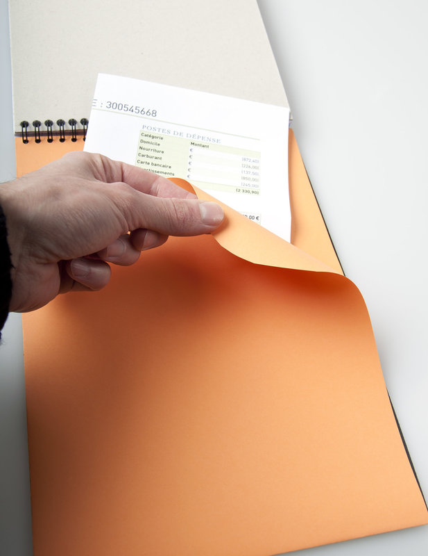 RHODIA Notepad Rhodiactive 90 G, Reliure Intégrale A4 160 Pages Petits Carreaux 5X5 Microperforé + Pochette