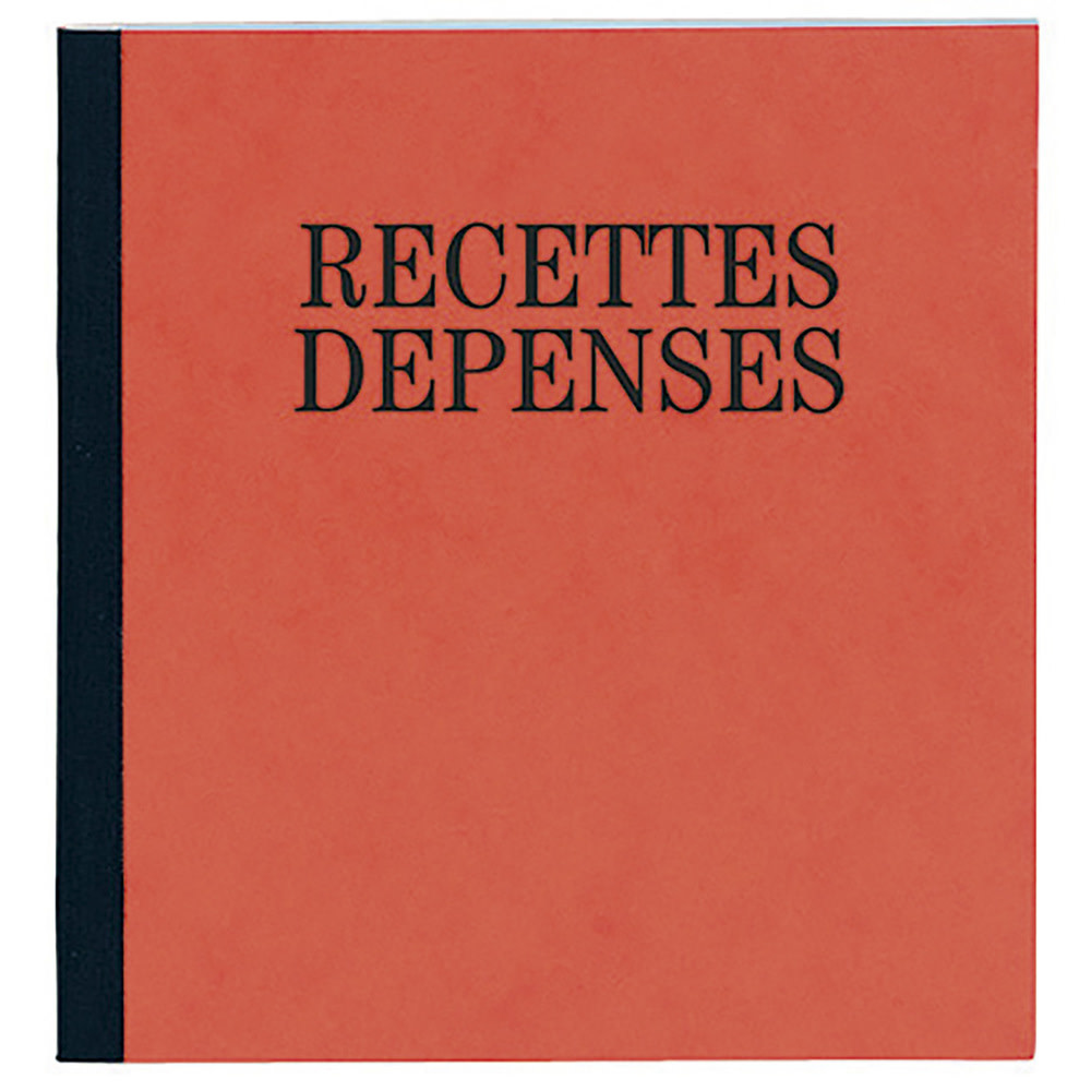 EXACOMPTA Piq. 21/19 Recettes-Depenses 80P.
