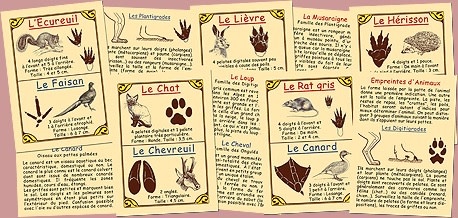 MARC VIDAL Empreintes d'Animaux