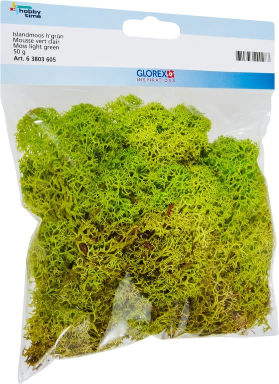 GLOREX Mousse Vert Clair 50G