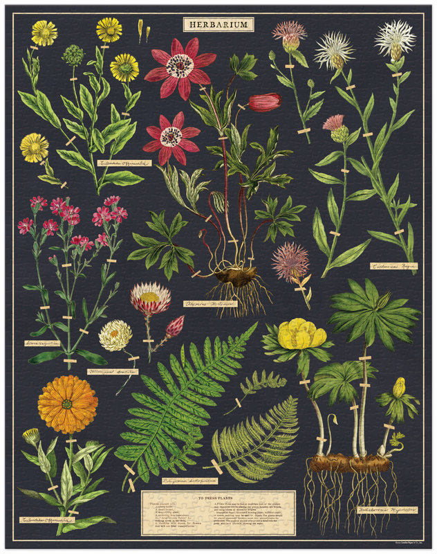 CAVALLINI & Co. Puzzle 1000 pièces 55x70cm Herbarium