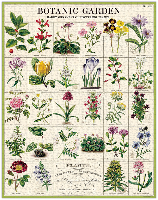 CAVALLINI & Co. Puzzle 1000 Pièces Jardin Botanique 55x70cm