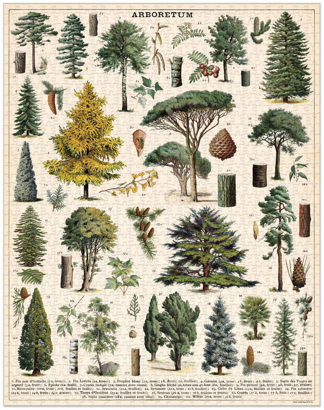 CAVALLINI & Co. Puzzle 1000 pieces 55x70cm Trees