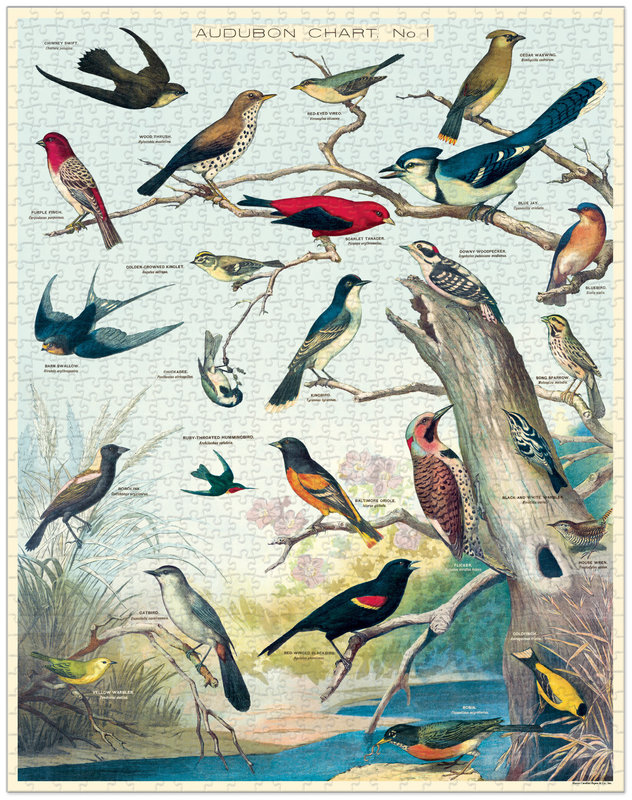 CAVALLINI & Co. Puzzle 1000 Pièces Audebon Birds 55 X 70 Cm